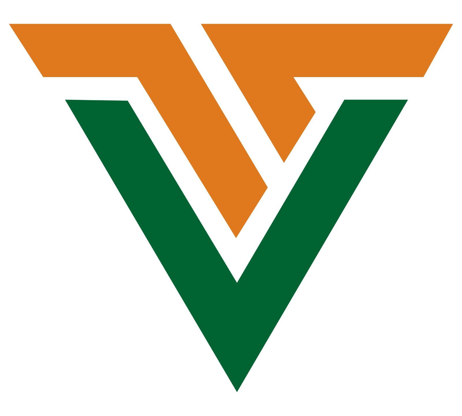 Vishwa Transolution